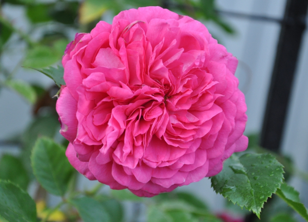 5d4c735e46c7417c09ddf94ea009dc10 Фото отзывы