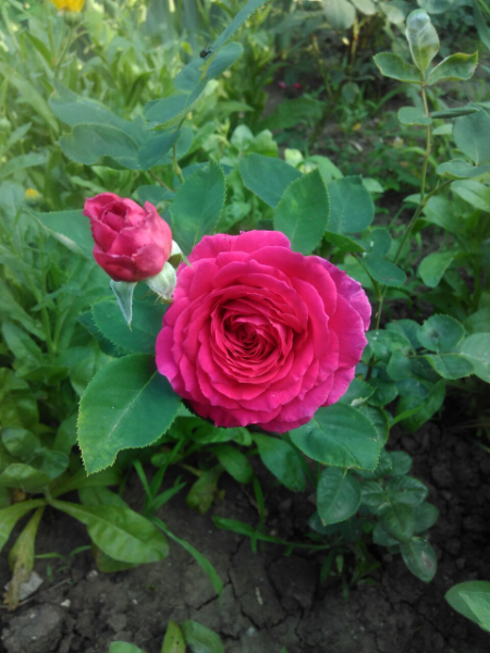 74551571d77991ee03c77bd8a814dca0 Фото отзывы