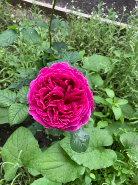944c70f4a499f6be0eabb0842f6eb968 Фото отзывы