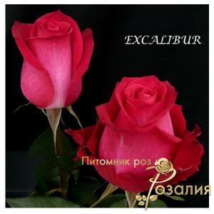 Excalibur (Экскалибур)