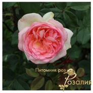 George Sand (Жорж Санд)