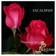Excalibur (Экскалибур)