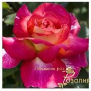 Bolchoi /Большой Театр/