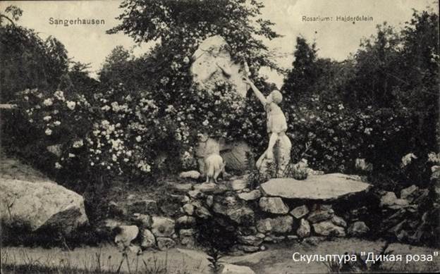 image003 image Европа-Розариум в Зангерхаузене